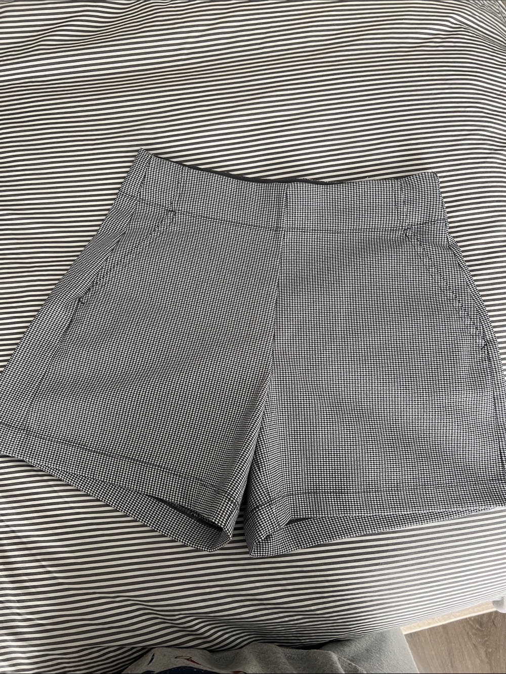 Max Studio Black & White Gingham High-Rise Shorts